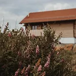 Dağ evi Oberwald 1 Schotten