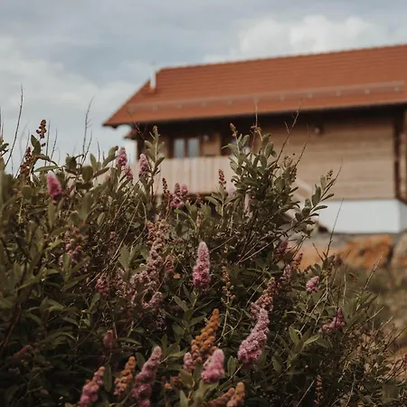 Chalet Oberwald 1 Schotten